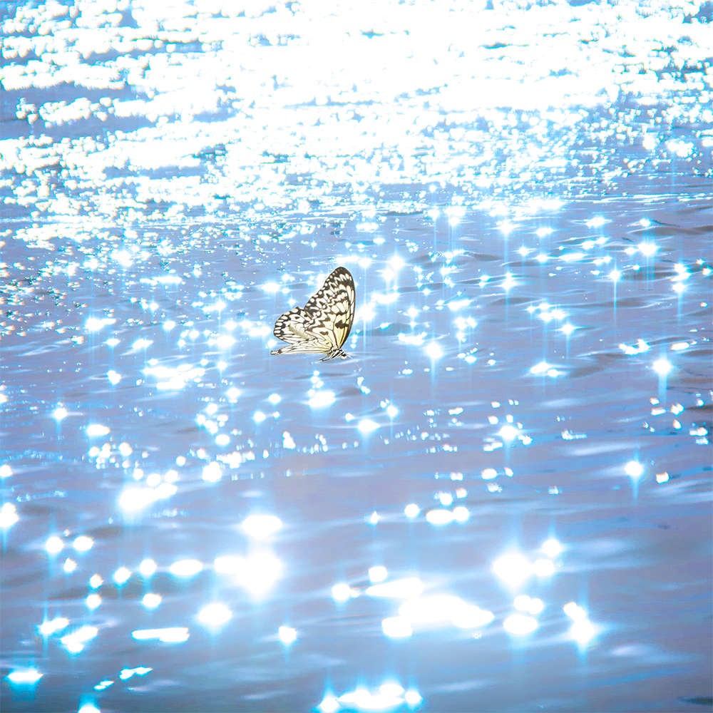 Water Butterfly I